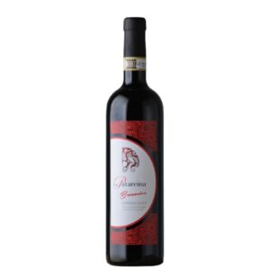 BRUSARIVE - Barbera d'Asti DOCG 2024