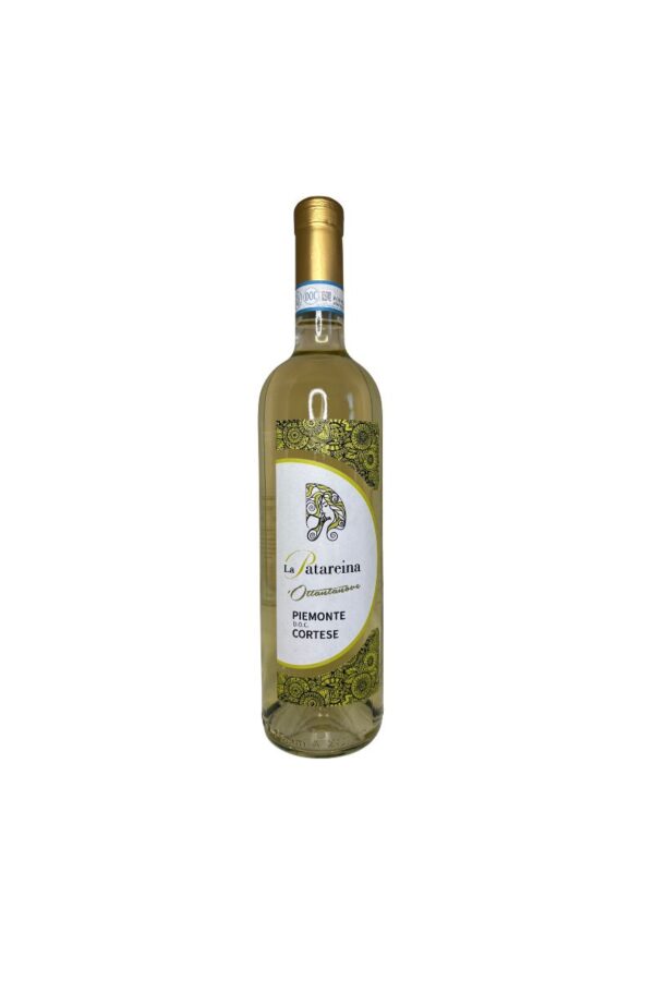 OTTANTANOVE - Piemonte Cortese DOC 2024